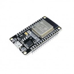 Placa de desarrollo...